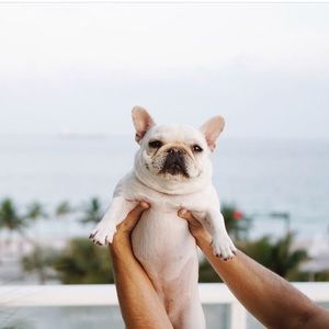 Meet your Posher, Taylor